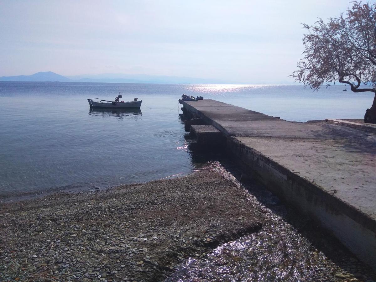 Marina Traditional Stonehouse Afetai Luaran gambar
