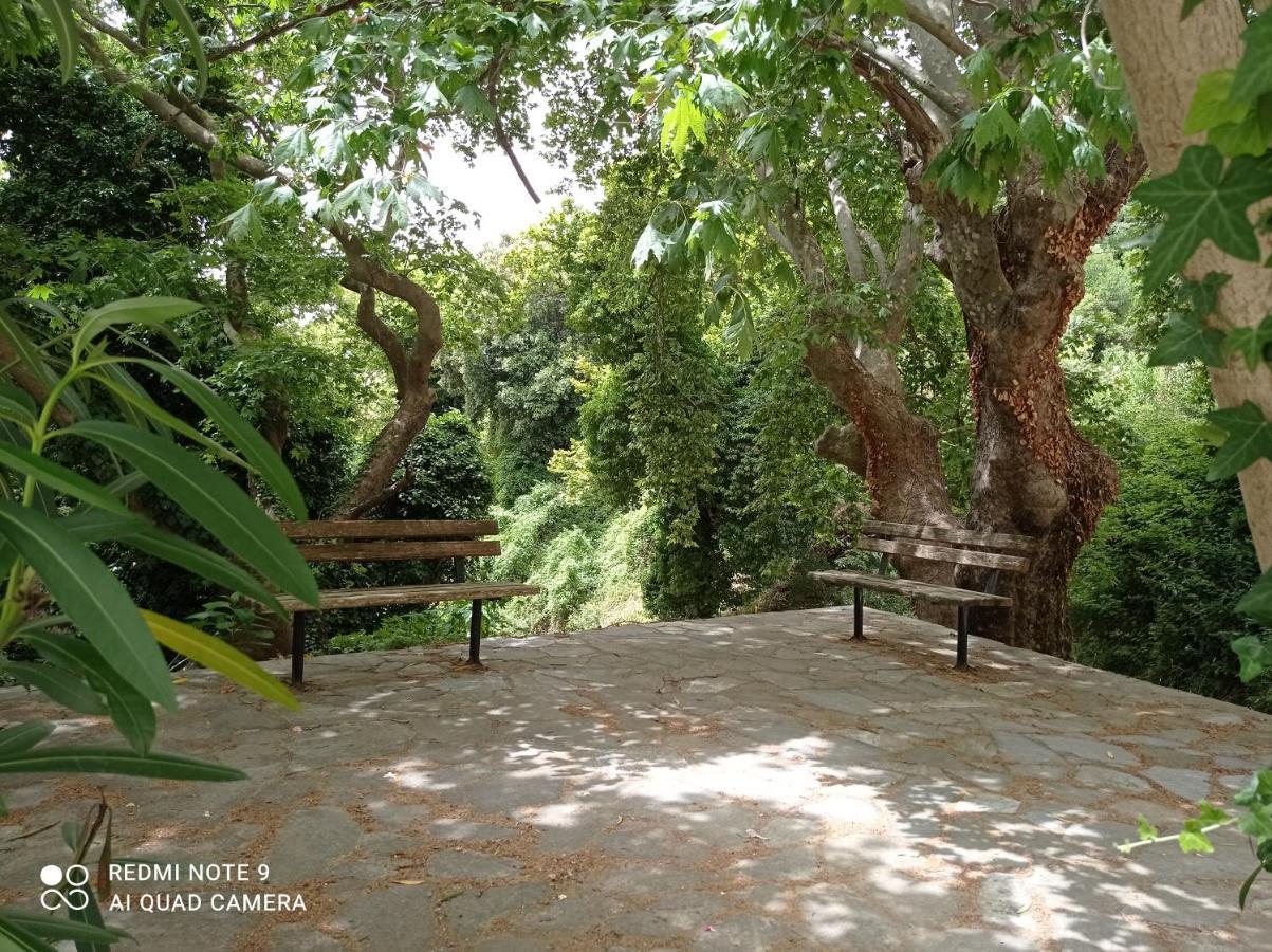 Marina Traditional Stonehouse Afetai Luaran gambar